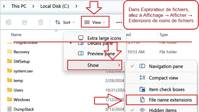 Les extensions de nom de fichier (. INF) lors de l’affichage de fichiers dans l’Explorateur